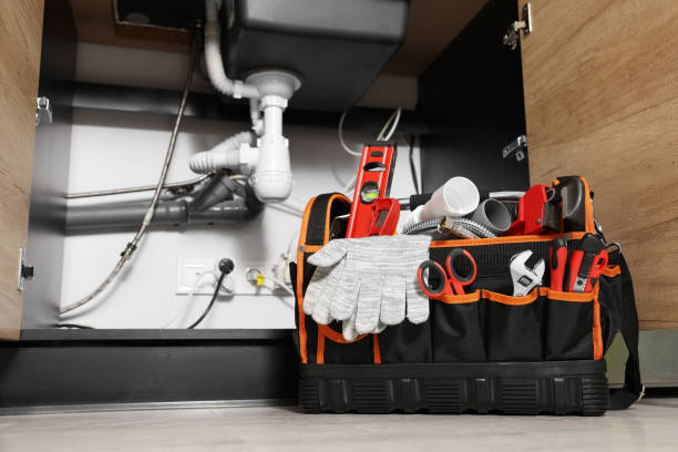 Best Local Plumber Services  in Spicer, MN
